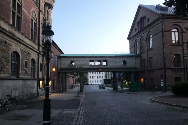 Foto på den täckta gångbron mellan Historiska museet och Lunds domkyrkas stiftskansli.