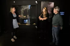 Historiska museets experter visar Uppåkrafynden. Foto: Evelina Lindén